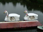 東条湖おもちゃ王国 ペダルボート(白鳥、クジラ)