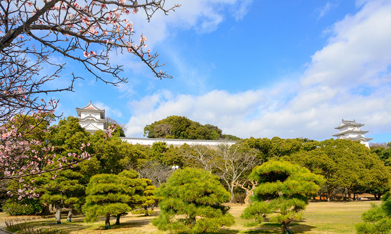 有馬温泉元湯龍泉閣