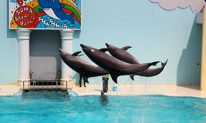 有馬温泉元湯龍泉閣